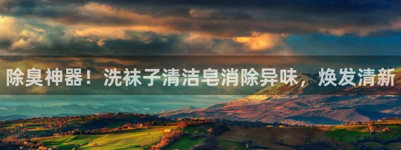 ag尊龙凯时官网
