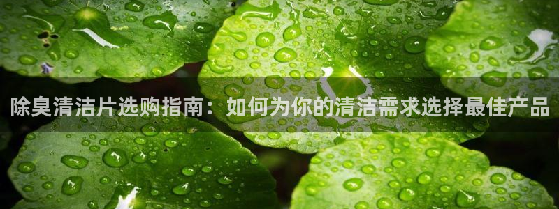 尊龙凯时取钱很慢
