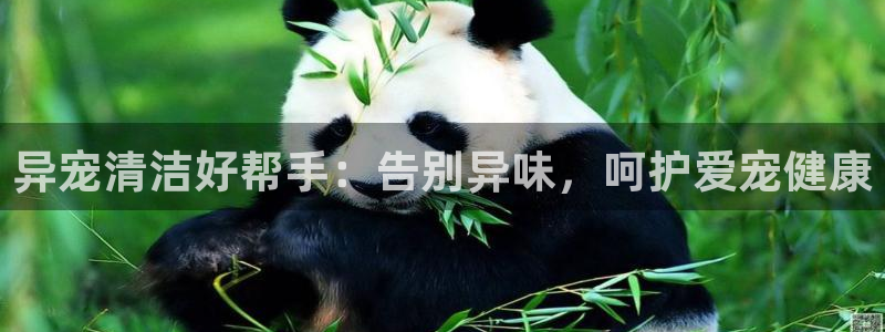 尊龙凯时有假么