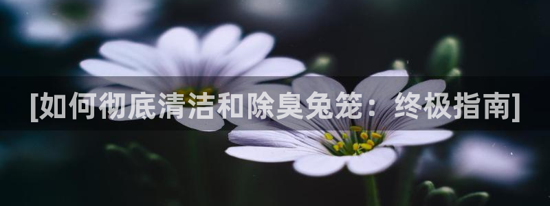 尊龙凯时几百万怎么下