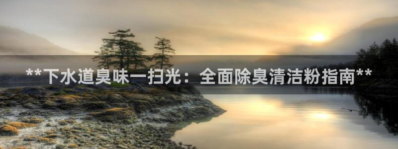 尊龙app登录不了：**下水道臭味一扫光：全面除臭清洁粉