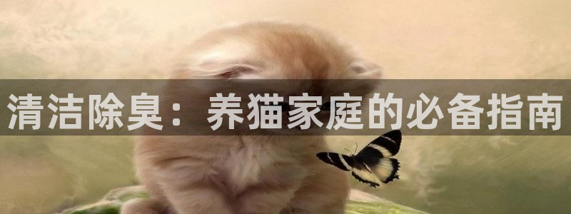尊龙凯时人生就是博·(中国)官网