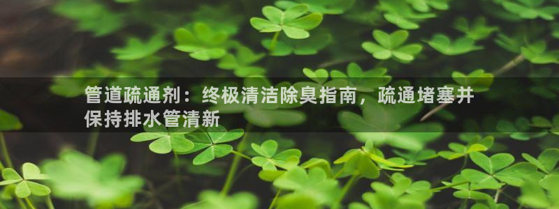 尊龙游戏官方网