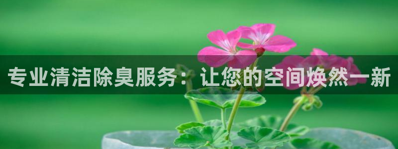 尊龙AG旗舰厅APP