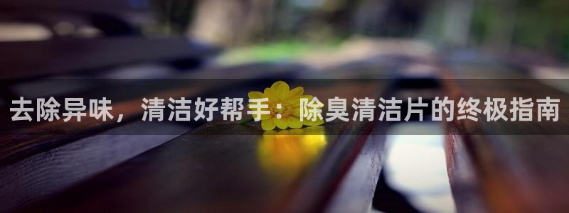 尊龙官网注册：去除异味，清洁好帮手：除臭清洁片的终极指南