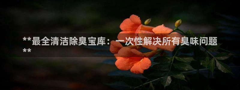 Z6尊龙老版