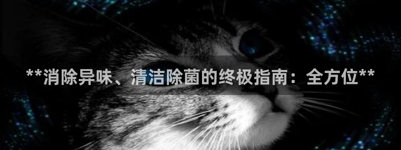 尊龙凯时白家乐Abb下载