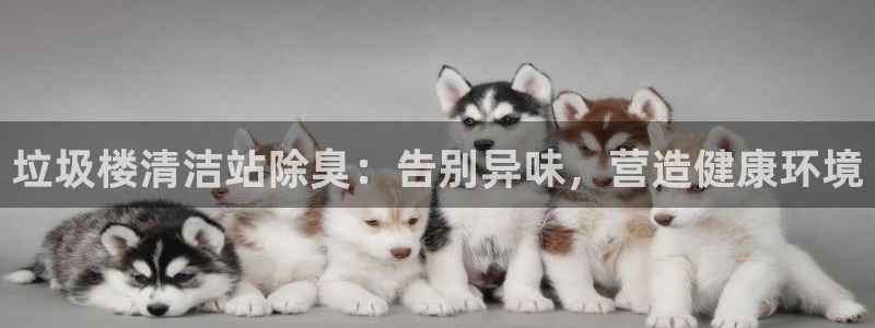 凯时国际app首页