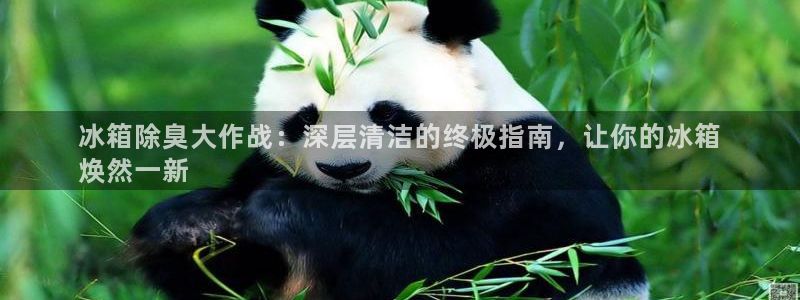 凯时国际平台有人赢吗