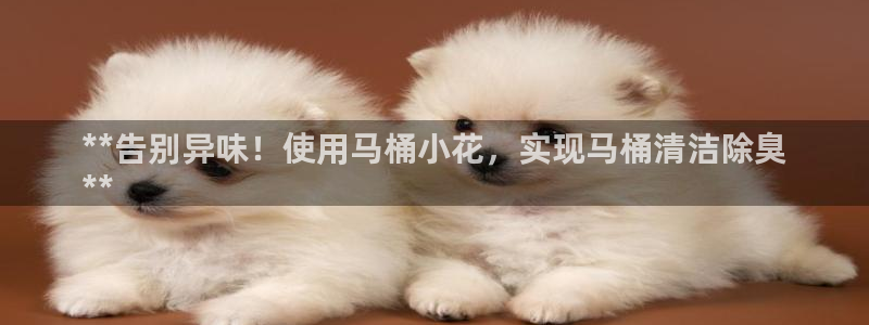 凯时国际网站域名