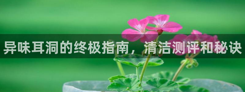 尊龙新版官网网页版