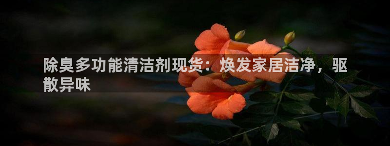 尊龙人生就是博旧版网址