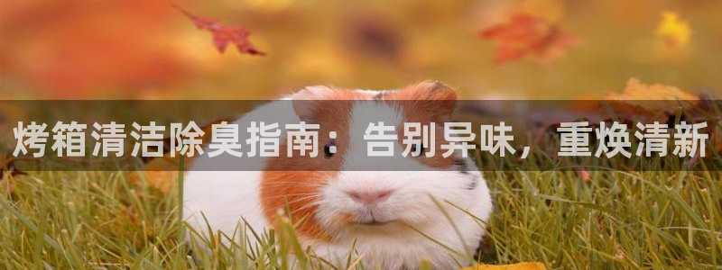 尊龙ag旗舰厅手机版