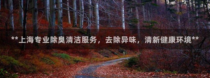 凯时平台app