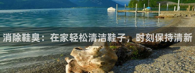 尊龙凯时有限公司