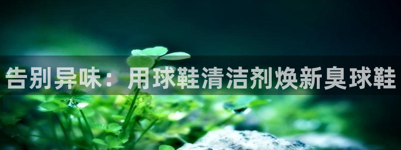 尊龙人生就是博官