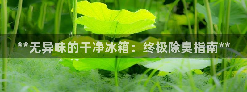 尊龙凯时有假么