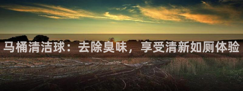 尊龙官网地址