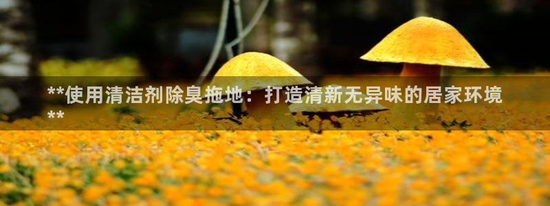 凯时kb88官网网址