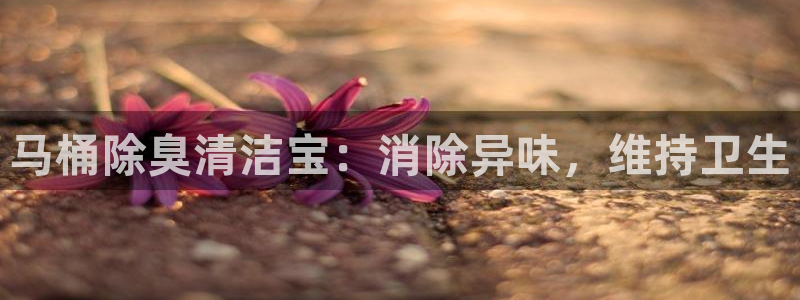 尊龙凯时用户名m