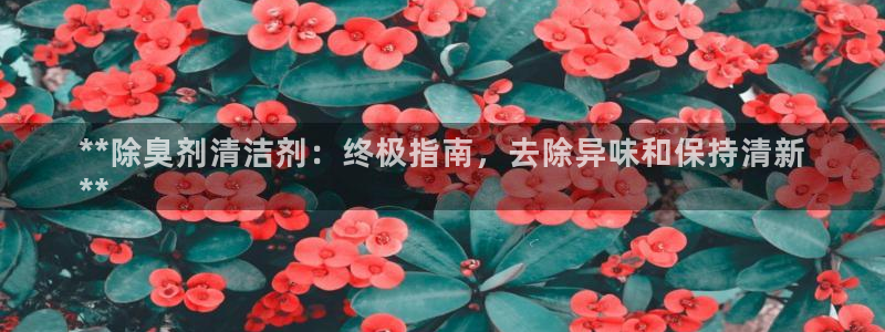 凯时ag旗舰厅网址是什么