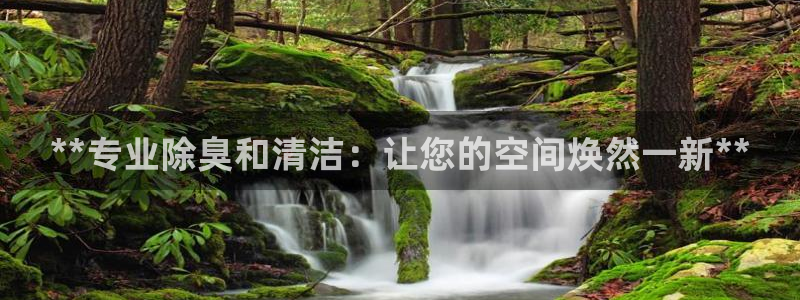 Z6尊龙凯时官方