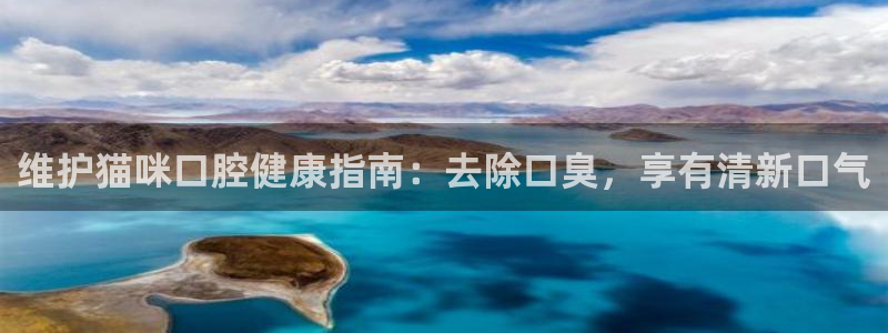凯时赢来就送38