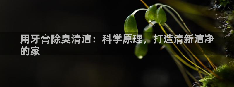 尊龙凯时能做退米么