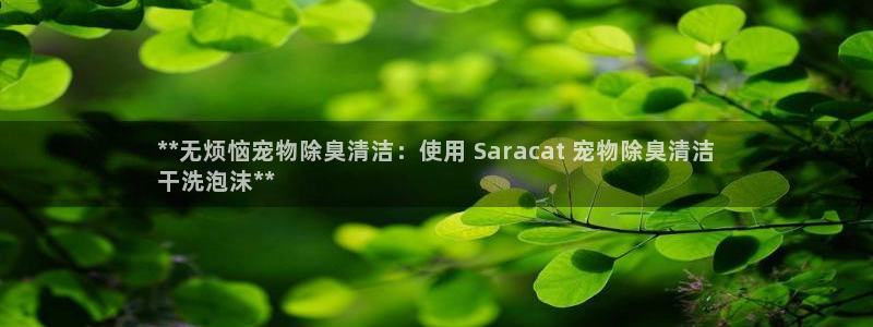 尊龙现金一下S选来就送38