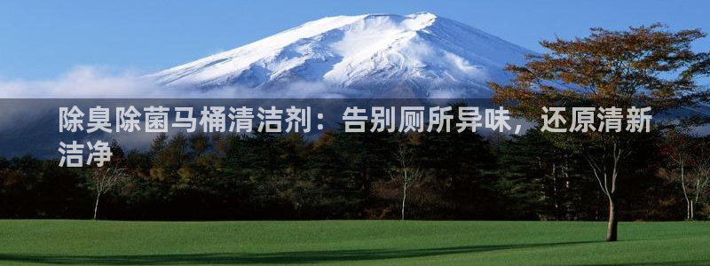 尊龙官网：除臭除菌马桶清洁剂：告别厕所异味，还原清新
洁