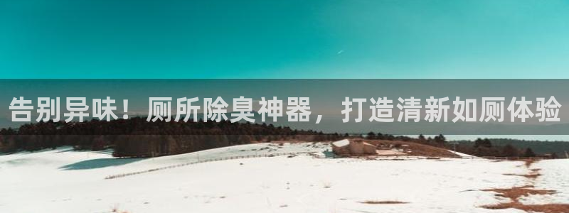 尊龙凯时的企业文化