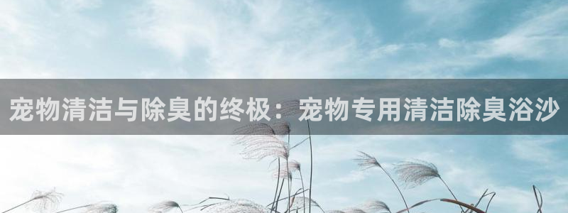 z6com尊龙凯时代理