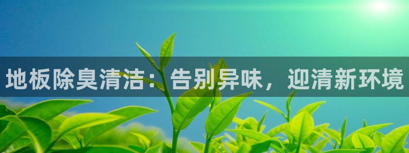 K66凯时国际平台官网