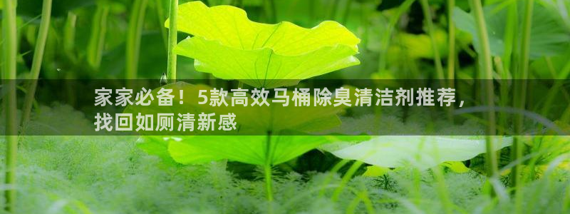z6尊龙凯时旗