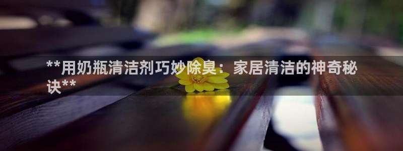 尊龙凯时的企业文化