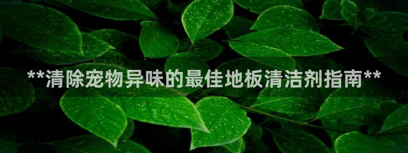 凯时旗舰厅App下载