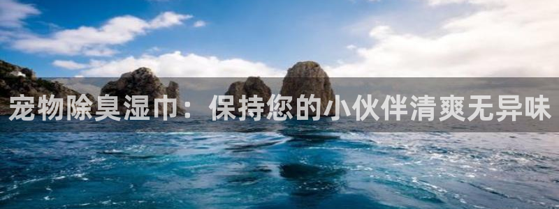 尊龙凯时登陆：宠物除臭湿巾：保持您的小伙伴清爽无异味