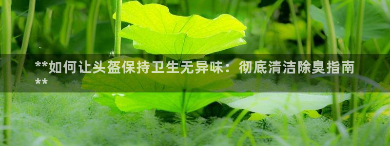 z6尊龙凯时ag旗舰厅