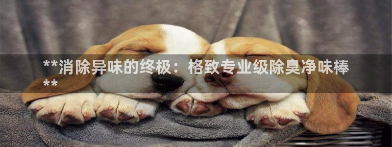 尊龙目前情况：**消除异味的终极：格致专业级除臭净味棒
