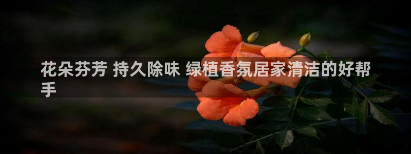 尊龙官方身高