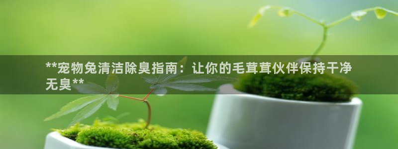 尊龙人生就是博旧
