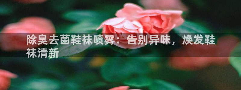 尊龙凯时ag旗舰厅官方网站：除臭去菌鞋袜喷雾：告别异味，