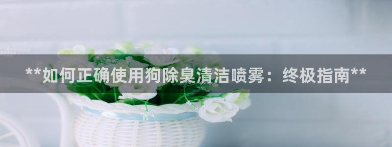 尊龙手机版：**如何正确使用狗除臭清洁喷雾：终极指南**