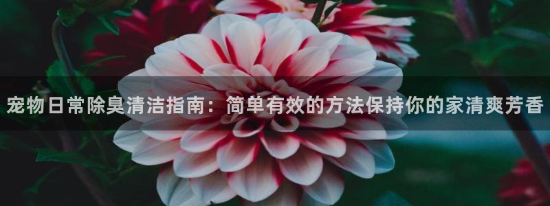 尊龙凯时怎么注销账号