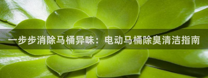 尊龙人生就是博现金