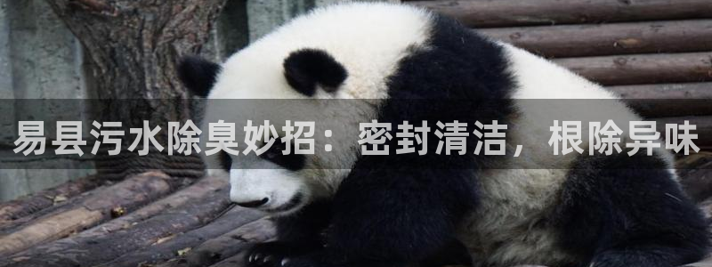 尊龙凯时官方下载