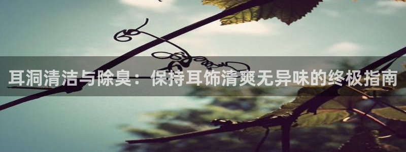 尊龙凯时输钱的原因：耳洞清洁与除臭：保持耳饰清爽无异味的