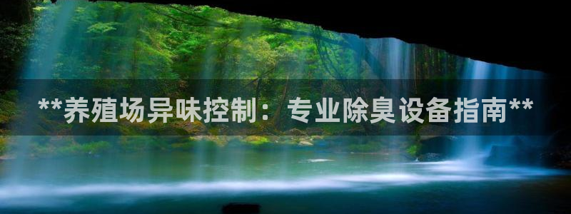 尊龙人生就是博旧版网址
