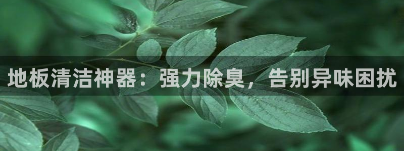 凯时国际app首页
