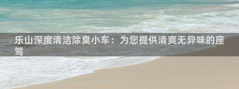 z6尊龙凯时：乐山深度清洁除臭小车：为您提供清爽无异味的